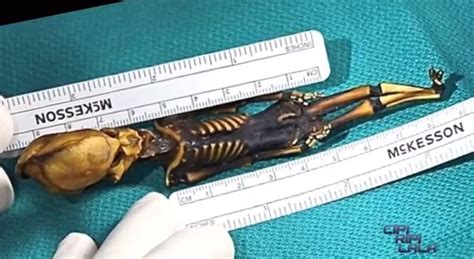 Tiny Alien Looking Skeleton Discovered In Chilean Desert Has Scientists