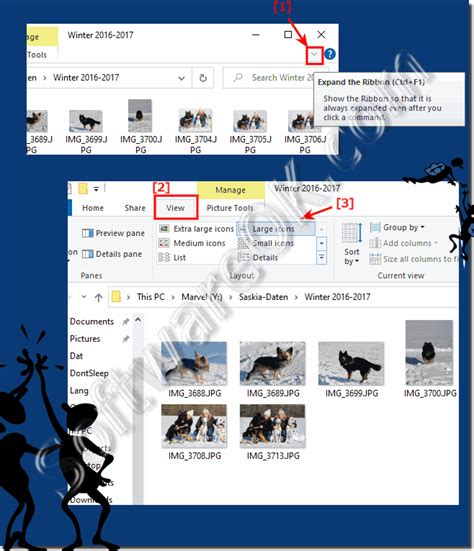 The Quick Preview In File Explorer On Windows 11 And 10