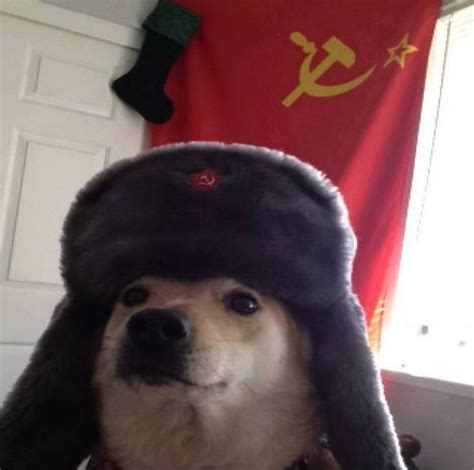Russian Doge Meme Template Memesportal
