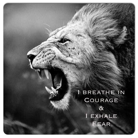 Courage Comes In No Fear Comes Out Fear Quotes Lion