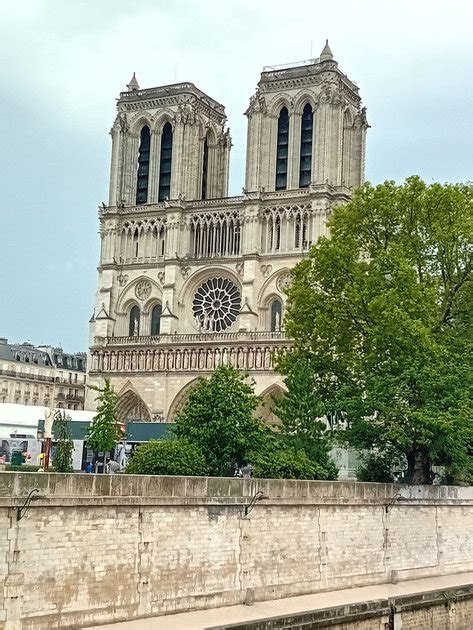 sightseeing in paris 🗼 getting to know the notre dame cathedral haciendo turismo en parís🗼