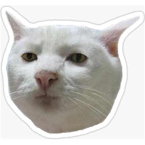 Sticker Maker Cat Memes