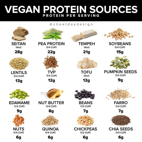 Top Sources Of Vegan Protein Shalom Adventure Magazine