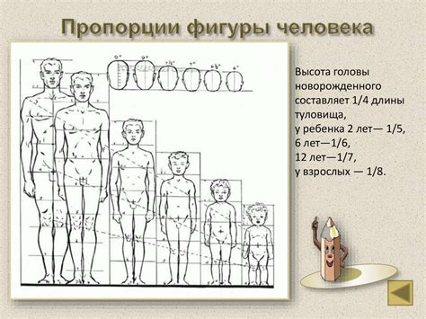 Изображение фигуры человека презентация онлайн