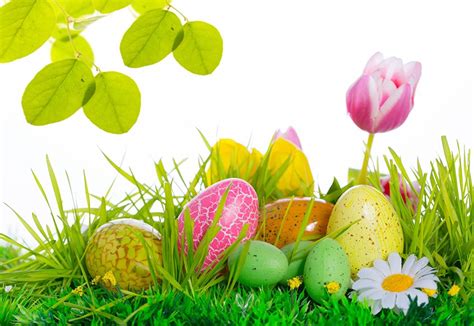 Spring And Easter Wallpapers Wallpaper Cave