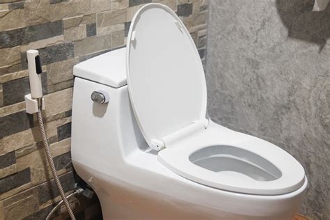 Different Types Of Toilets Clearance Price Save Jlcatj Gob Mx