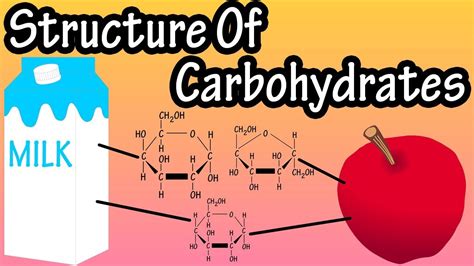 Molecular Structure Of A Carbohydrate Sharedoc