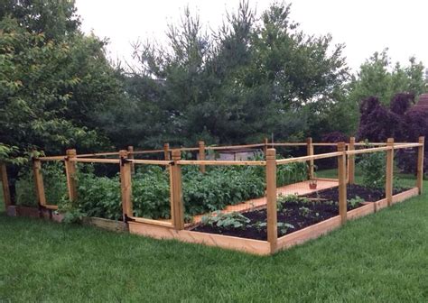 Fenced Raised Bed Vegetable Garden Vegetable Garden Design Backyard