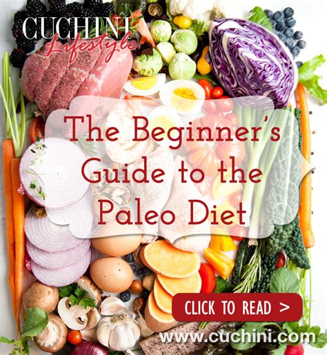 The Beginners Guide To The Paleo Diet Cuchini Blog