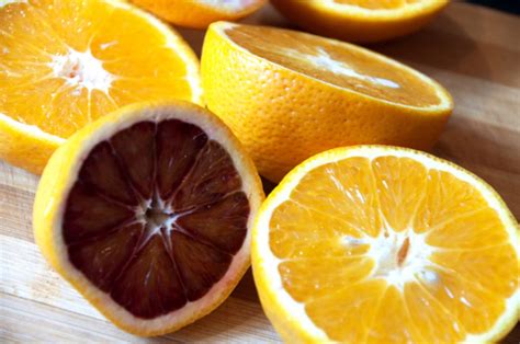 23 Interesting And Fascinating Facts About Blood Oranges Tons Of Facts