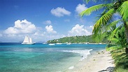 Visit St Vincent and the Grenadines