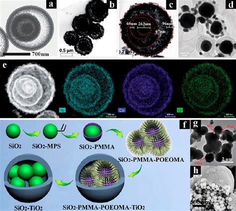 Schematic Demonstration And Graphical Illustration Of The Yolk Shells Download Scientific