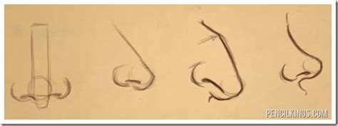 A simple nose or a detailed one can be equally effective depending on how detailed your drawing is. How To Draw Different Nose Shapes Easily