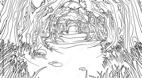 A Fairytale Fantasy Magic Woodland Forest Trees Tunnel Background