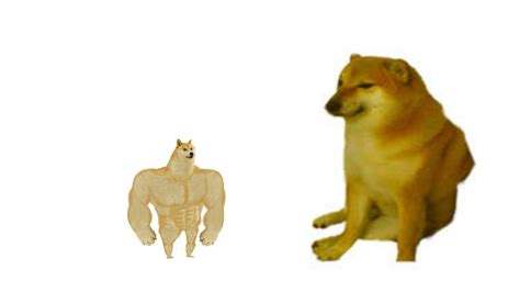Small Swole Doge And Big Cheems Rmemetemplatesofficial