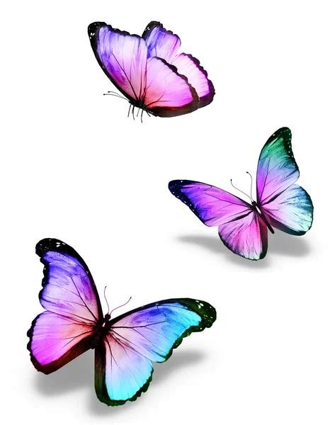Bonitas Mariposas Para Dibujar A Lapiz Unas Decoradas