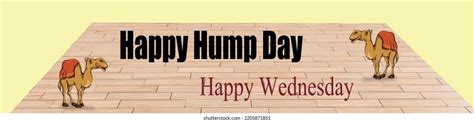 Happy Hump Day Photos And Images Shutterstock