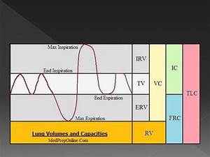 Lung Volume And Capacities Ppt