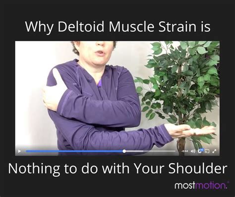 Pin By Mostmotion On Deltoid Muscle Strain Muscle Strain Deltoids