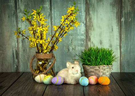 Popřejte na velikonoce své rodině a známým. Proč se slaví Velikonoce a velikonoční týden den po dni ...