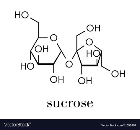 Sucrose Sugar Molecule Also Known As Table Sugar Vector Image