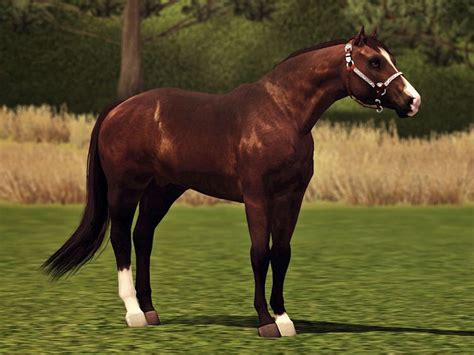 Pin By Aly A On Sims 3 Horses Sims 3 Horses Sims