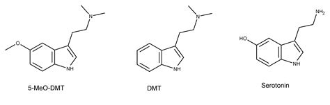 5 Meo Dmt Psychedelic Science Review