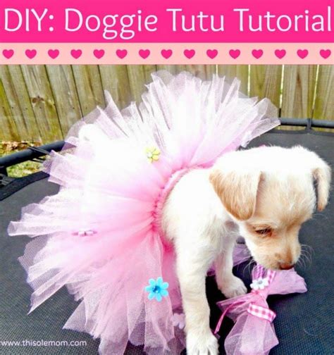 Share Tweet Pin Mail Make Your Pet Their Very Own Tutu I Never Thought