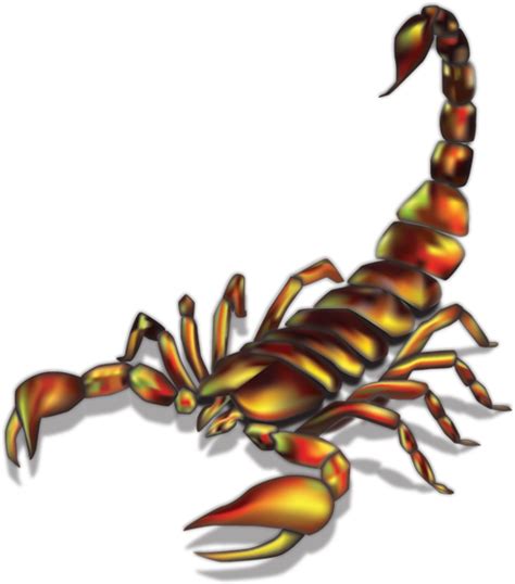 Download Scorpion Illustration Realistic Scorpion Tattoo Ideas