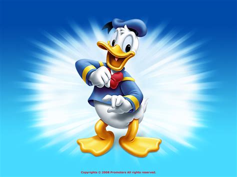Donald Duck Wallpaper Disney Wallpaper 6638047 Fanpop