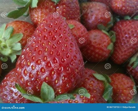 Strawberries Closeup Stock Image Image Of Strawberries 86718733
