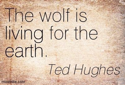 Start studying ted hughes critical quotes. Ted Hughes Quotes. QuotesGram