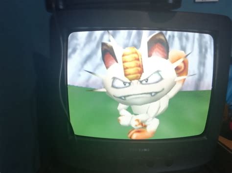 Meowth Is Angry Rpokemon