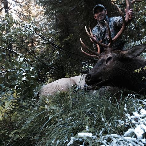 Missoula Archery Hunter Goes Solo Sticks Nice Bull Montana Hunting