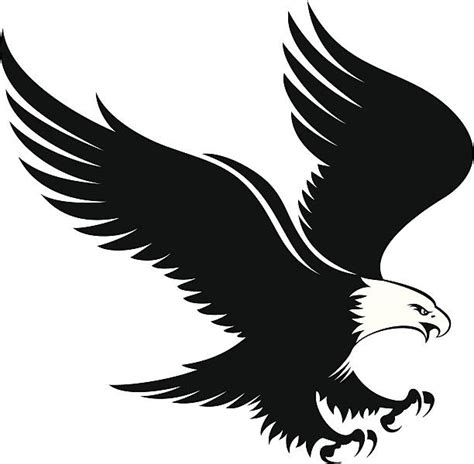 Best Flying Bald Eagle Illustrations Royalty Free Vector Graphics