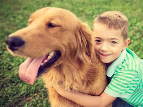 Cómo Los Perros Pueden Ayudar A Un Niño Autista Todo Mascotas