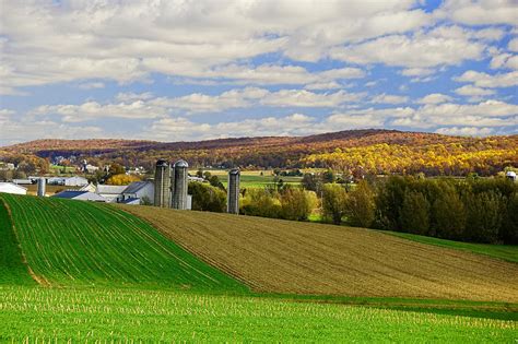 Lancaster County Amish Farm By William Jobes Ph