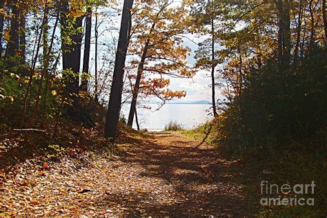 Fall Leaves At Leddy Park Lake Champlain Vermont Photograph By Felipe