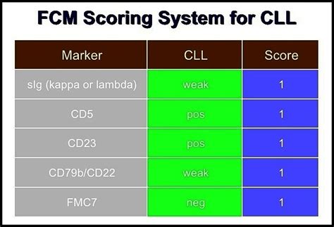 Chronic Lymphocytic Leukemia Ask Hematologist Understand Hematology