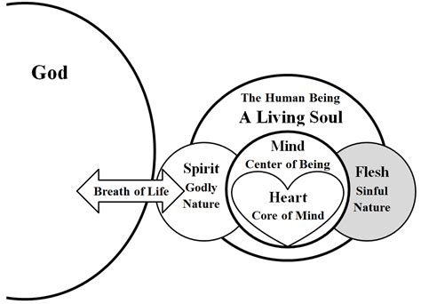 Human Nature Spirit Mind And Body Fountain Of Life