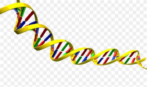 Explore The Fascinating World Of Dna With Dna Helix Clipart
