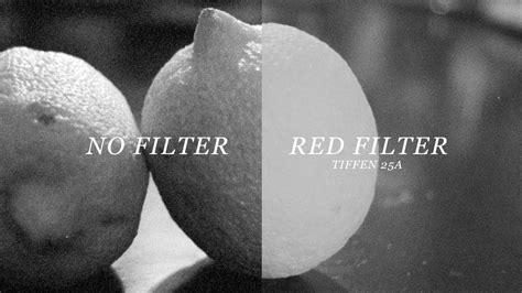 Bandw Film W Red Filter Comparison Youtube