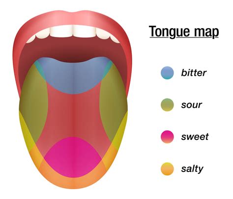 Tongue Taste Buds Map 5 Feel Good Tips For Your Senses The Goodista