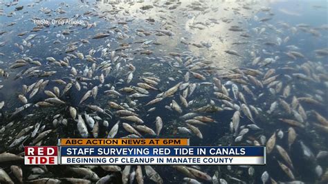 Manatee County Plan For Red Tide Clean Up YouTube