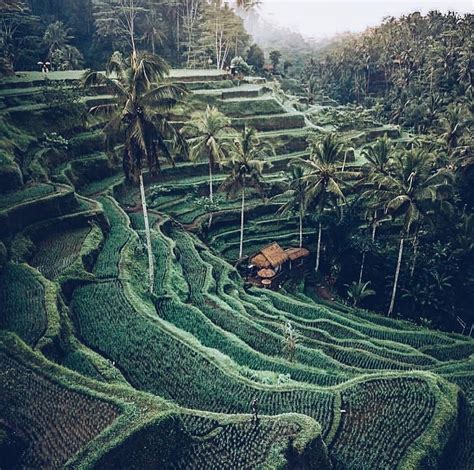 Bali is a small island located in the country of indonesia, which also happens to be a popular tourist destination, particularly. Mihanika Bali : Me Against The Mafia How I Hiked Mount ...