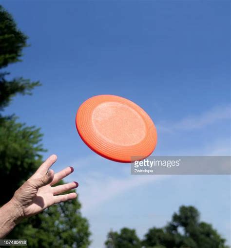 Frisbee Foto e immagini stock | Getty Images