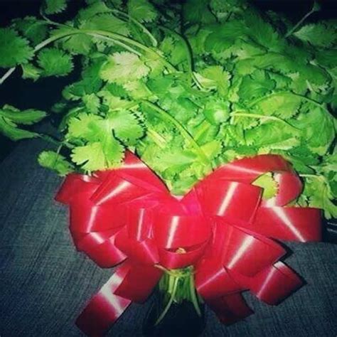 La principal característica que tiene una persona que cumple años el 14 de de febrero es que nació bajo el signo zodiacal de acuario y es una personas que recuerda que un factor que genera estos defectos en los que cumplen años del 14 de febrero es su personalidad, y esencia fuerte y llamativa. Imagenes Para El 14 De Febrero Chistosas Imgenes Para ...