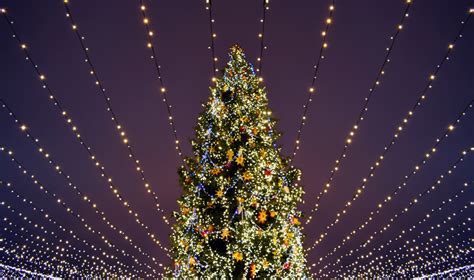 11 Dazzling Christmas Tree Lighting Ceremonies In Westchester