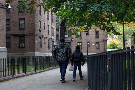 Count Of Nycha Apartments With Lead Paint — And Kids — On Pace To Hit
