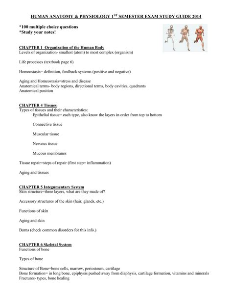 Human Anatomy And Physiology 1st Semester Exam Study Guide